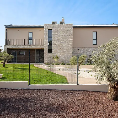 Olive Yard * Bale