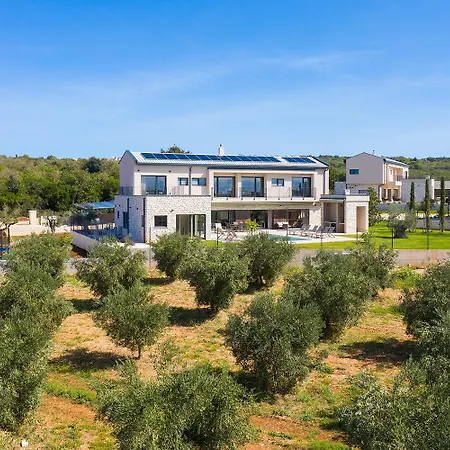 Vila Olive Yard